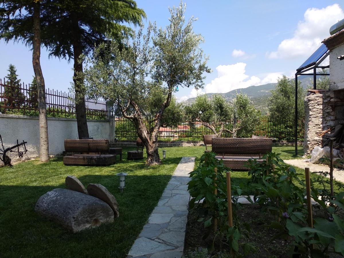 Villa Agnanti Apts And Suites Agio Pnevma Exteriör bild